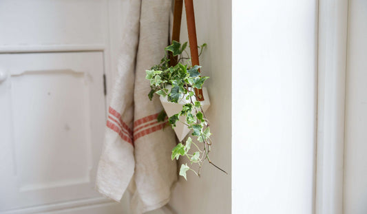 How to use plants to decorate your home.